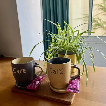 Cozy En Centre-ville Διαμέρισμα